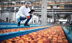 Food Industry - 5