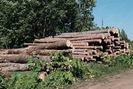 Wood Industries - 3