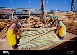Wood Industries - 4
